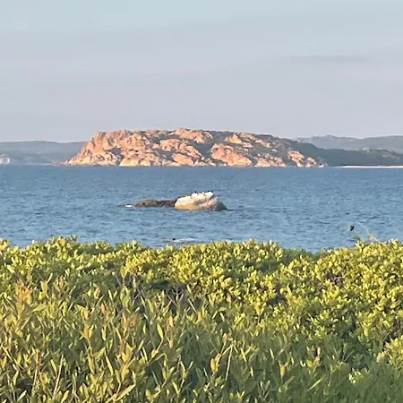 Sa Rocca 600 Mt Dal Mare Ad *
